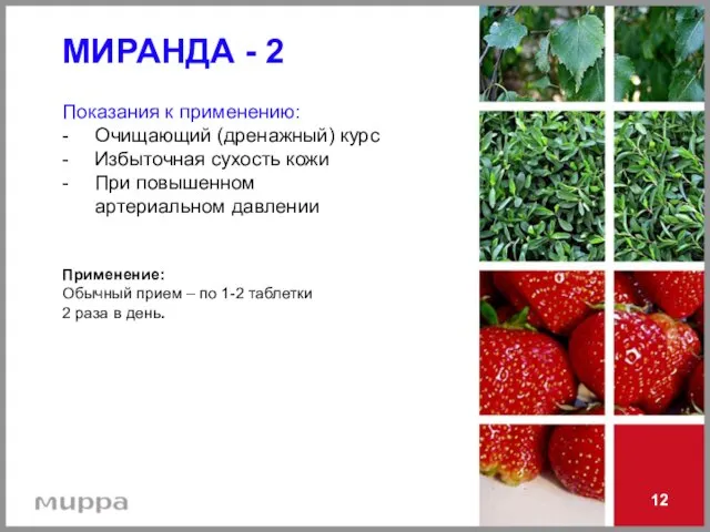 12 МИРАНДА - 2 Показания к применению: - Очищающий (дренажный) курс -