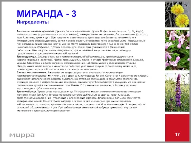 17 МИРАНДА - 3 Ингредиенты Автолизат пивных дрожжей. Дрожжи богаты витаминами группы