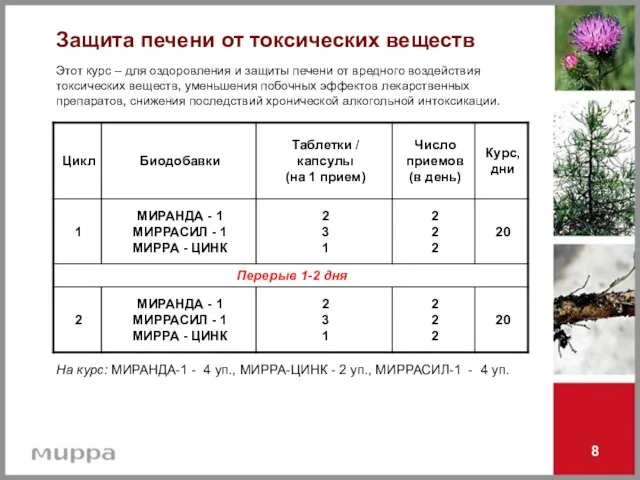 8 На курс: МИРАНДА-1 - 4 уп., МИРРА-ЦИНК - 2 уп., МИРРАСИЛ-1