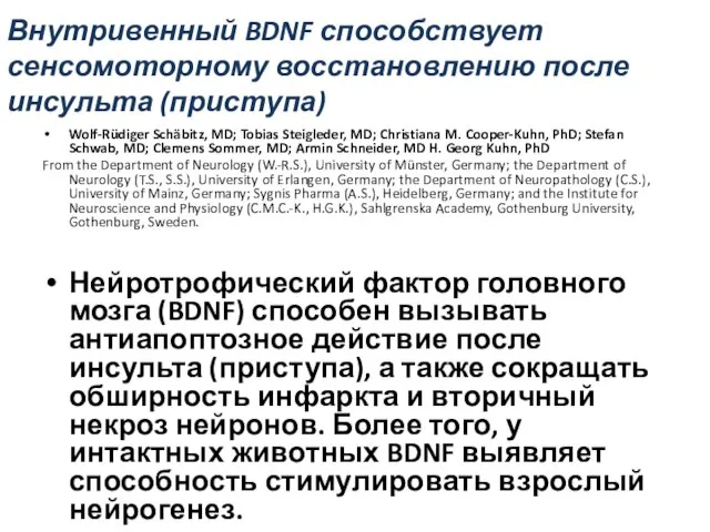 Внутривенный BDNF способствует сенсомоторному восстановлению после инсульта (приступа) Wolf-Rüdiger Schäbitz, MD; Tobias