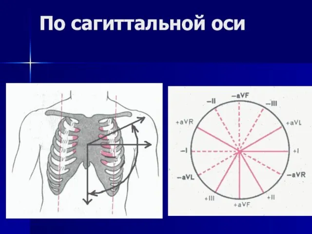 По сагиттальной оси