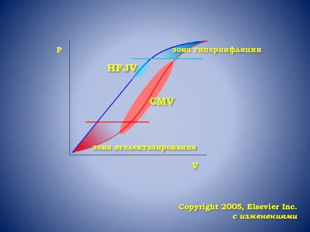 Copyright 2005, Elsevier Inc. с изменениями