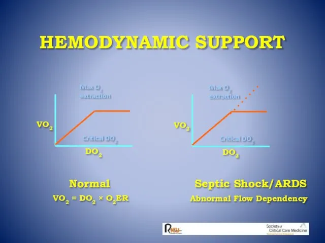 HEMODYNAMIC SUPPORT