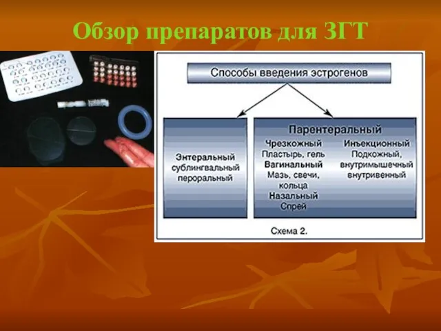 Обзор препаратов для ЗГТ