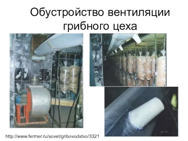 Обустройство вентиляции грибного цеха http://www.fermer.ru/sovet/gribovodstvo/3321