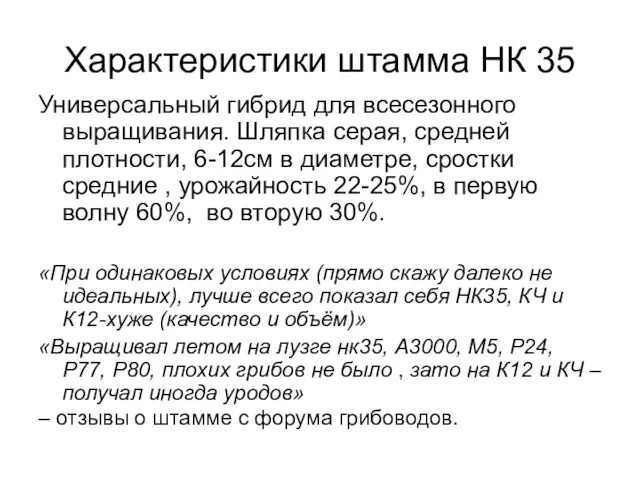 Характеристики штамма НК 35 Универсальный гибрид для всесезонного выращивания. Шляпка серая, средней