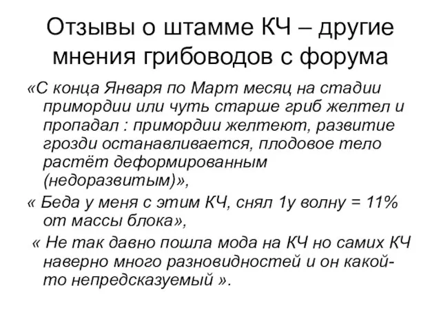 Отзывы о штамме КЧ – другие мнения грибоводов с форума «С конца