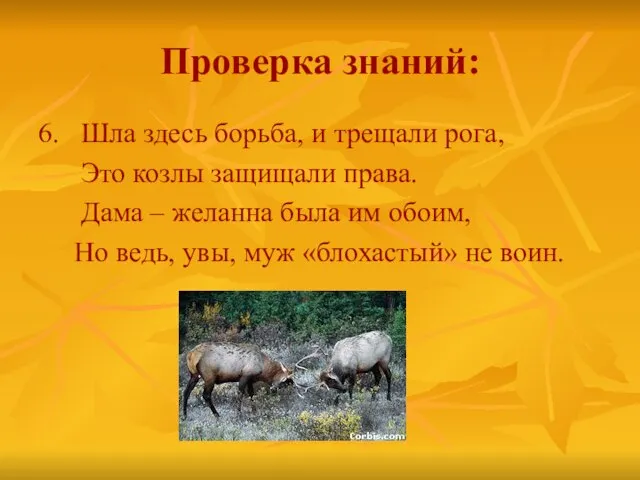 Проверка знаний: 6. Шла здесь борьба, и трещали рога, Это козлы защищали