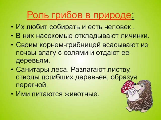 Роль грибов в природе: Их любит собирать и есть человек . В