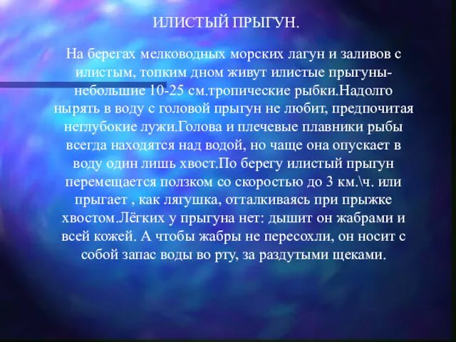 ИЛИСТЫЙ ПРЫГУН. На берегах мелководных морских лагун и заливов с илистым, топким