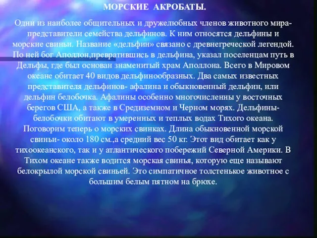 МОРСКИЕ АКРОБАТЫ. Одни из наиболее общительных и дружелюбных членов животного мира- представители