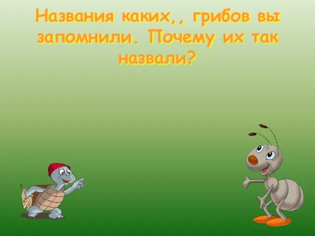 Названия каких,, грибов вы запомнили. Почему их так назвали?