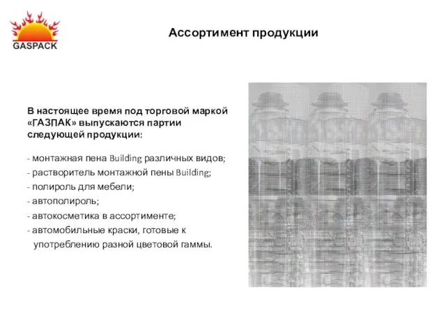 Ассортимент продукции В настоящее время под торговой маркой «ГАЗПАК» выпускаются партии следующей