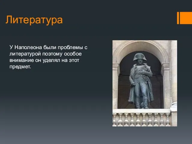 Литература У Наполеона были проблемы с литературой поэтому особое внимание он уделял на этот предмет.