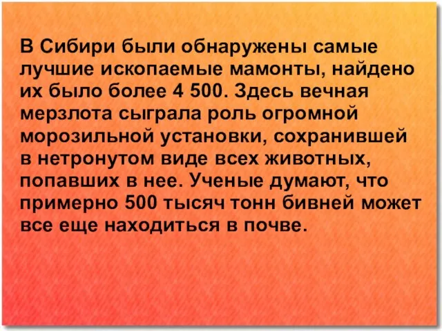 В Сибири были обнаружены самые лучшие ископаемые мамонты, найдено их было более