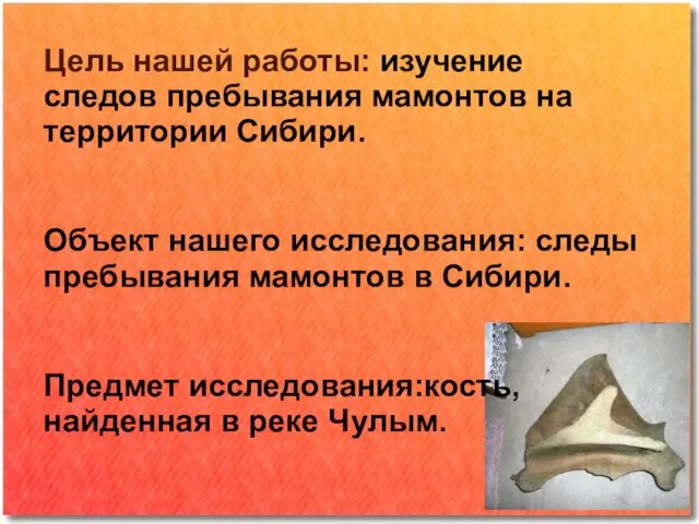 Цель нашей работы: изучение следов пребывания мамонтов на территории Сибири. Объект нашего