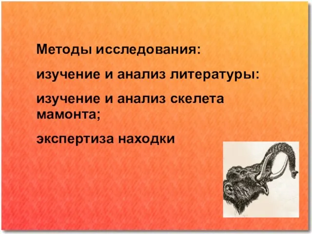 Методы исследования: изучение и анализ литературы: изучение и анализ скелета мамонта; экспертиза находки