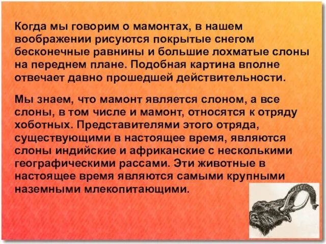 Когда мы говорим о мамонтах, в нашем воображении рисуются покрытые снегом бесконечные