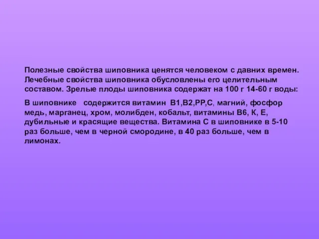 Полезные свойства шиповника ценятся человеком с давних времен. Лечебные свойства шиповника обусловлены