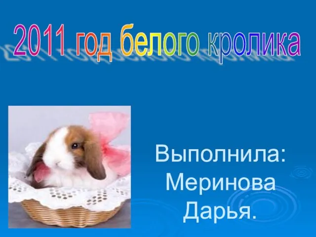 Выполнила: Меринова Дарья. 2011 год белого кролика