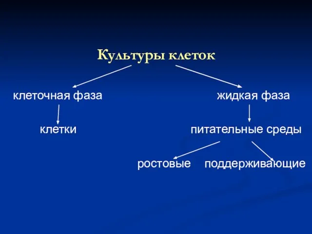 Культуры клеток клеточная фаза жидкая фаза клетки питательные среды ростовые поддерживающие