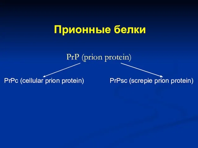 Прионные белки PrP (prion protein) PrPс (cellular prion protein) PrPsc (screpie prion protein)