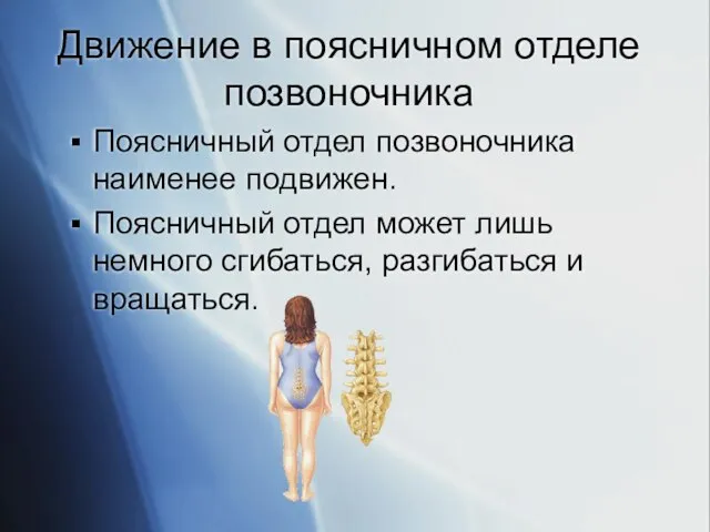 Движение в поясничном отделе позвоночника Поясничный отдел позвоночника наименее подвижен. Поясничный отдел