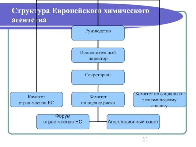 Структура Европейского химического агентства