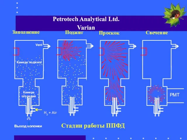 Стадии работы ППФД Камера поджига Камера сгорания Vent Выход колонки H2 +