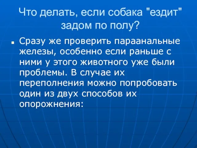 Что делать, если собака "ездит" задом по полу? Сразу же проверить параанальные