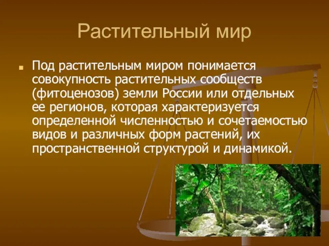 Растительный мир Под растительным миром понимается совокупность растительных сообществ (фитоценозов) земли России