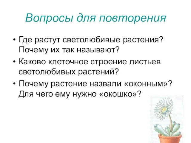 Вопросы для повторения Где растут светолюбивые растения? Почему их так называют? Каково