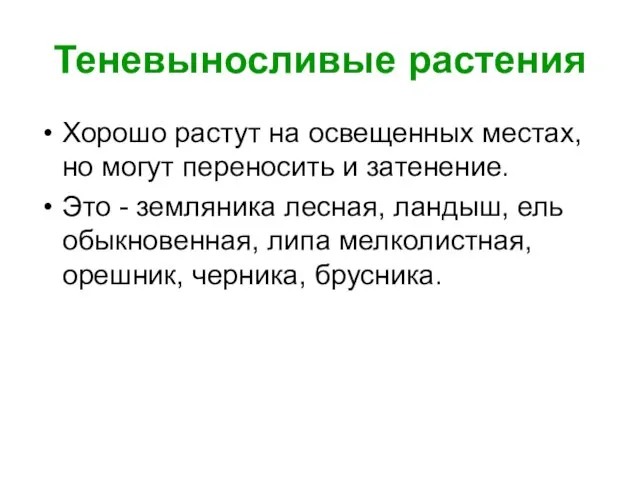 Теневыносливые растения Хорошо растут на освещенных местах, но могут переносить и затенение.