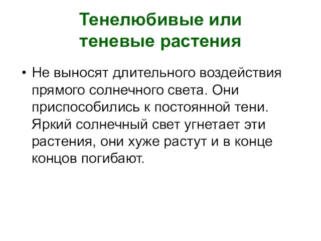 Тенелюбивые или теневые растения Не выносят длительного воздействия прямого солнечного света. Они