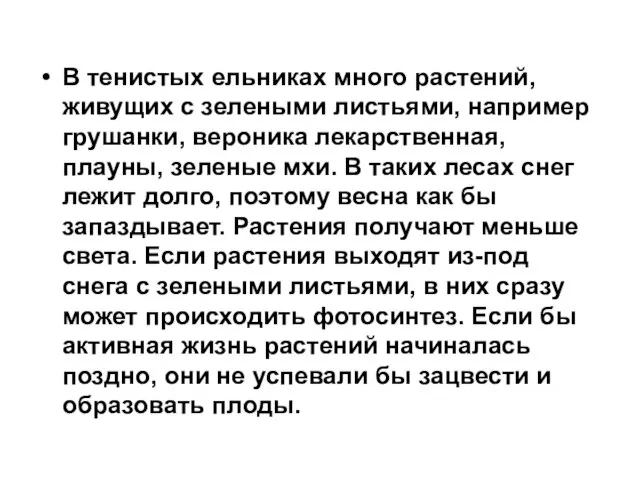 В тенистых ельниках много растений, живущих с зелеными листьями, например грушанки, вероника