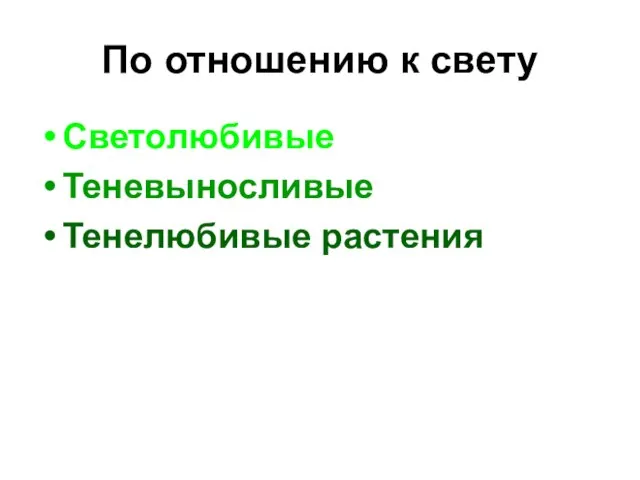 По отношению к свету Светолюбивые Теневыносливые Тенелюбивые растения