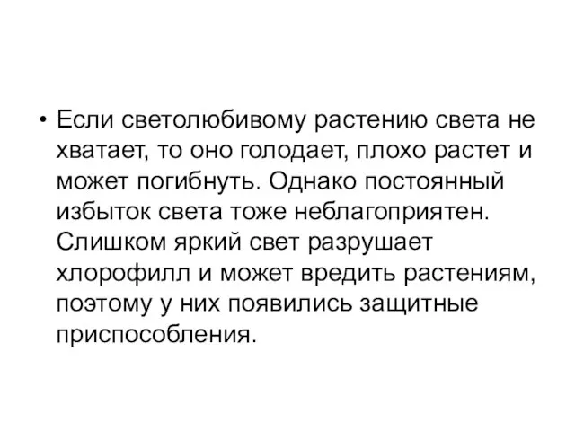 Если светолюбивому растению света не хватает, то оно голодает, плохо растет и