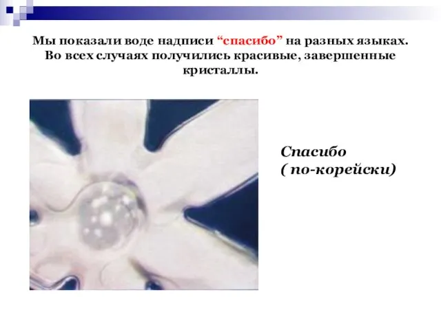 Мы показали воде надписи “спасибо” на разных языках. Во всех случаях получились