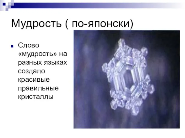 Мудрость ( по-японски) Слово «мудрость» на разных языках создало красивые правильные кристаллы