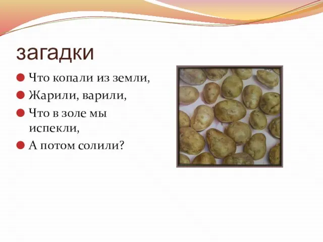 загадки Что копали из земли, Жарили, варили, Что в золе мы испекли, А потом солили?