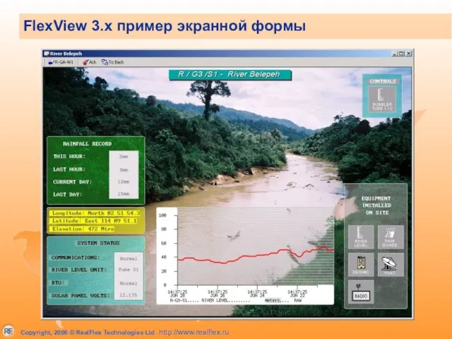 FlexView 3.x пример экранной формы