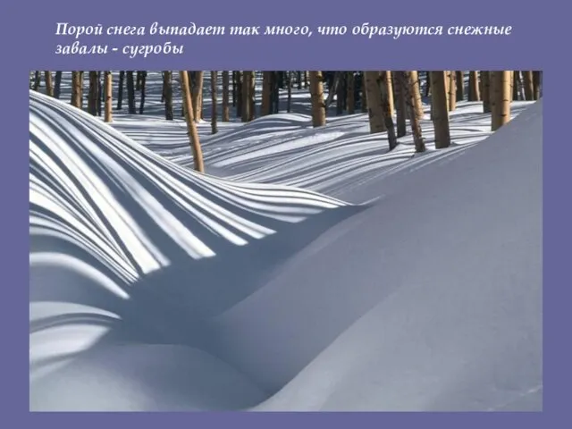 Порой снега выпадает так много, что образуются снежные завалы - сугробы