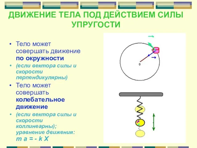 ДВИЖЕНИЕ ТЕЛА ПОД ДЕЙСТВИЕМ СИЛЫ УПРУГОСТИ Тело может совершать движение по окружности