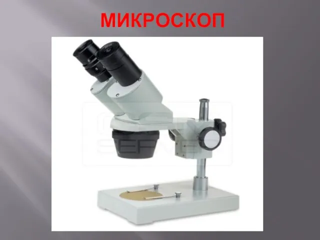 МИКРОСКОП