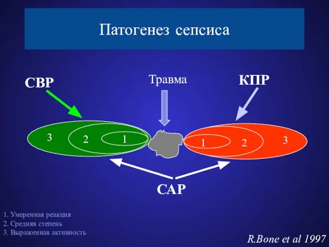 Патогенез сепсиса 2 1 Травма СВР КПР 3 1 2 3 1.