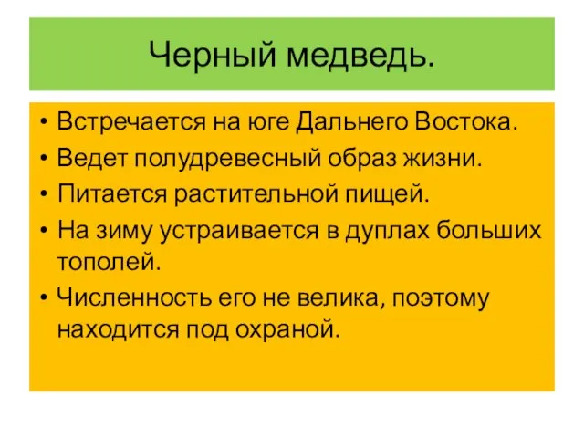 Черный медведь. Встречается на юге Дальнего Востока. Ведет полудревесный образ жизни. Питается