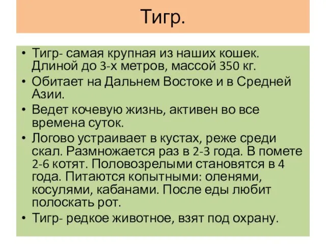 Тигр. Тигр- самая крупная из наших кошек. Длиной до 3-х метров, массой