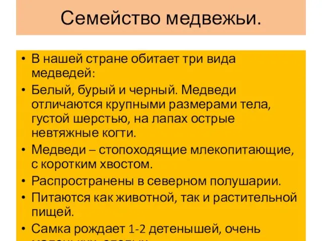 Семейство медвежьи. В нашей стране обитает три вида медведей: Белый, бурый и