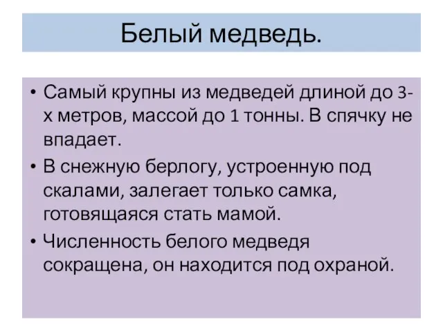 Белый медведь. Самый крупны из медведей длиной до 3-х метров, массой до