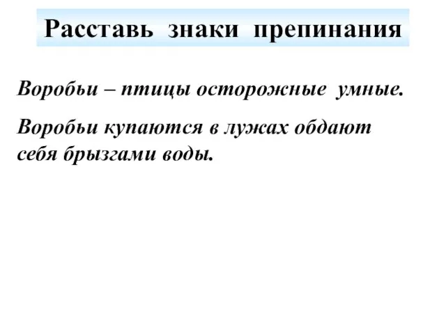 Расставь знаки препинания Воробьи – птицы осторожные умные. Воробьи купаются в лужах обдают себя брызгами воды.